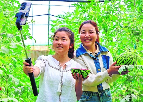 W020240504338647753833_800