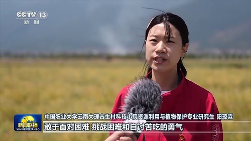 8ffebd8d491a45f2b3c74d6e821bc449