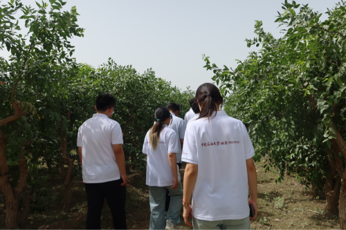 特别报道：脚步丈量祖国大地 初心践行伟大真理——中国石油大学(北京)克拉玛依校区初心宣讲实践团纪实