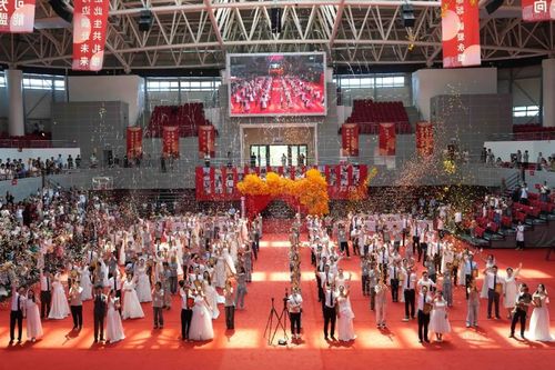 00d86156b03429cdb36c40