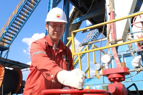 微信图片_2025-11-21_165822_320