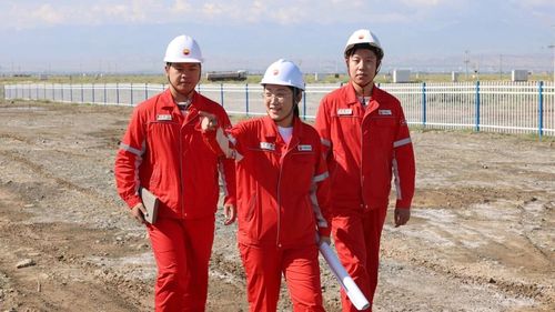 微信图片_2025-11-21_171015_742