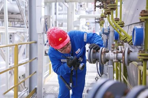 微信图片_2025-11-20_165943_407