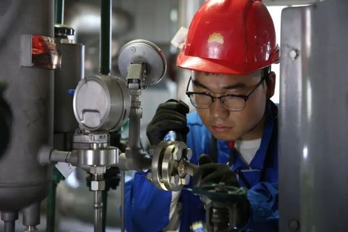 微信图片_2025-11-20_170030_727