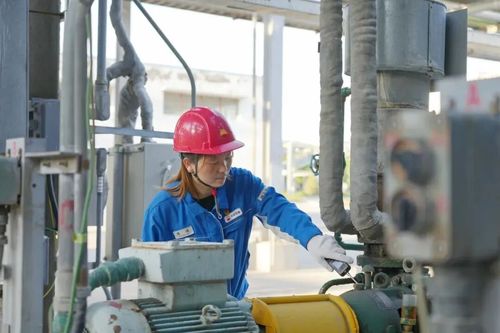 微信图片_2025-11-20_170114_482