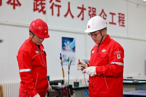 微信图片_2025-12-23_013729_305