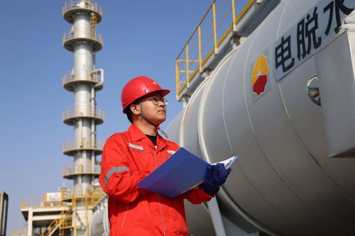 微信图片_2025-12-23_020535_256