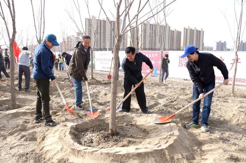 微信图片_20180409154341