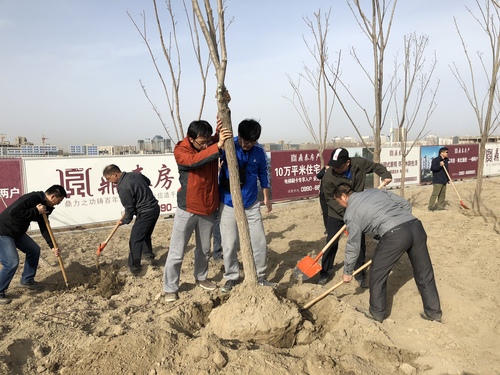 微信图片_20180409154140