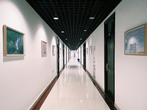 20201105“光晕”长廊——“湖之灵”、“知秋”两期影展在C5崇文楼上线 (2)