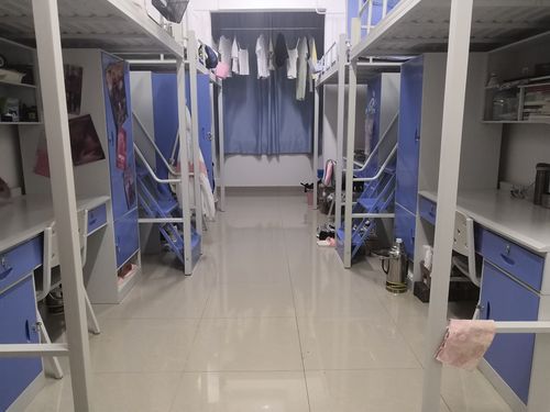 校区组织开展新时代校园爱国卫生运动3