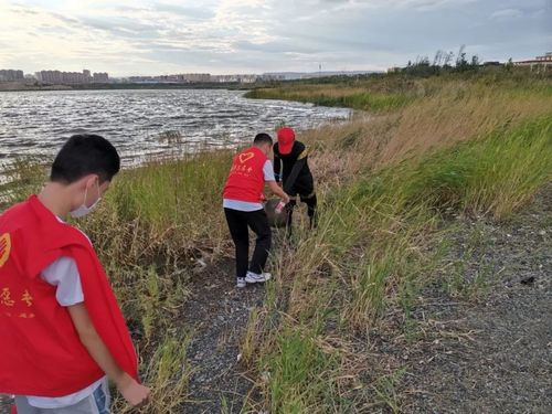 校区组织开展新时代校园爱国卫生运动2