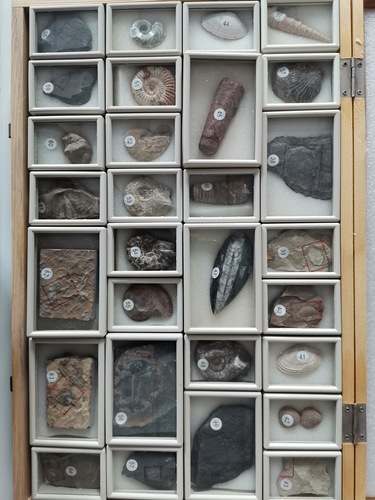 微信图片_20210112123250