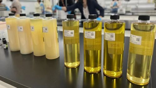 微信图片_20230323105336 微信图片_20230323105336