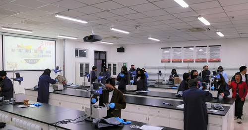 A1CA74A58844E2C5401A4F29D94DD37E A1CA74A58844E2C5401A4F29D94DD37E