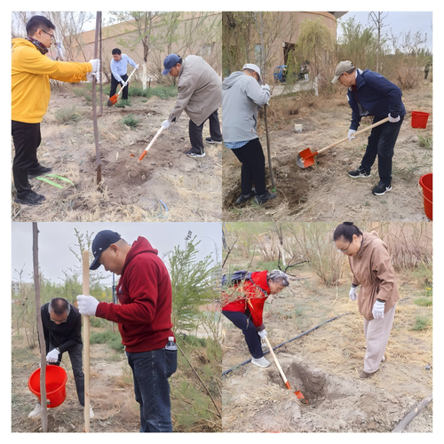 WPS拼图0老师种树图