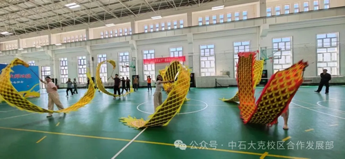 图片5