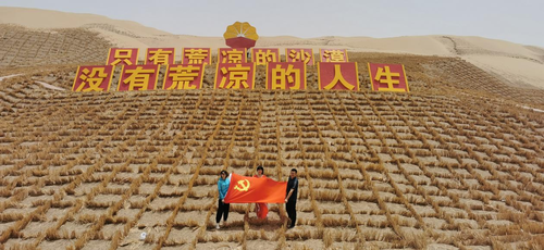 图片4