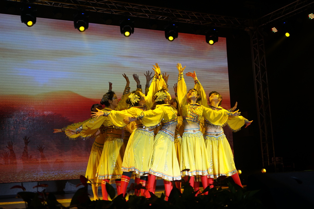 20181221弘扬改革开放精神 绘就奋斗青春底色 -中国石油大学（北京）克拉玛依校区2019年迎新晚会暨第二届奖学金颁奖典礼- 秦毓灿 (324)