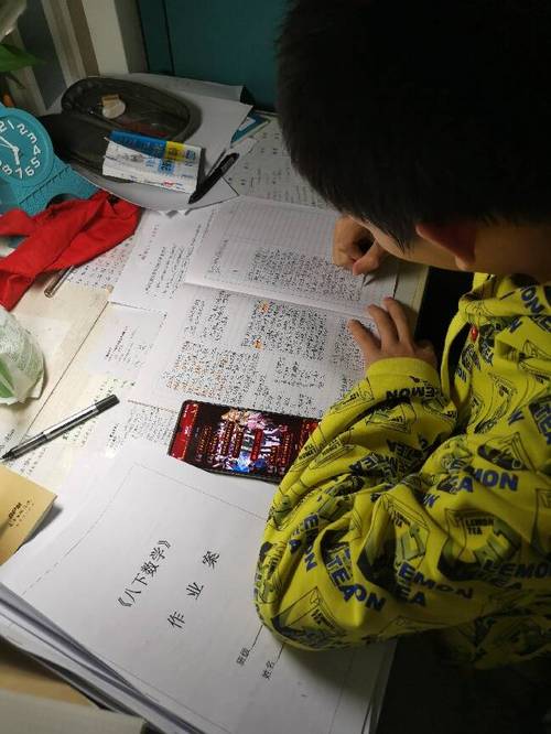 小朋友在线接受辅导3