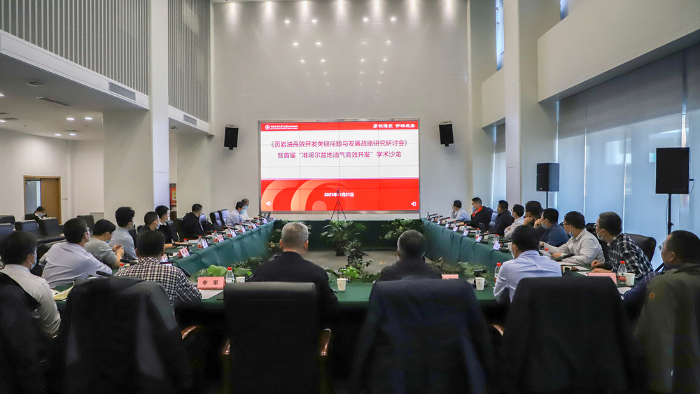 20211121 页岩油高效开发关键问题与发展战略研究研讨会 魏静怡 宋伟 (2)