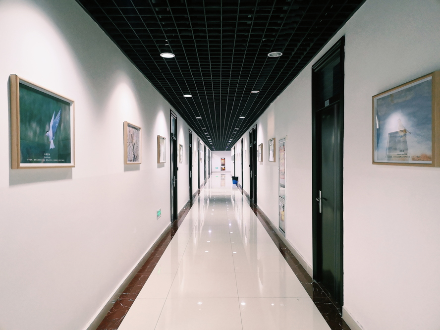 20201105“光晕”长廊——“湖之灵”、“知秋”两期影展在C5崇文楼上线 (2)