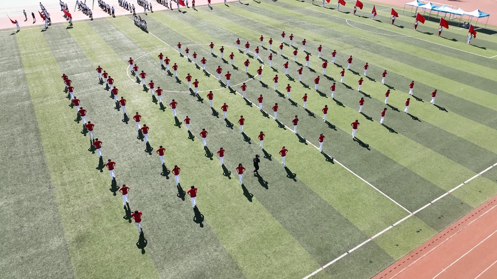 25207a968cddd3447ba31a41bc115b2