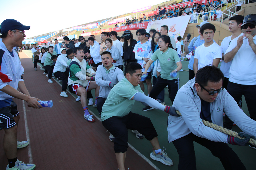 6c04c4a500ea57307ff9bbf029bfdb6