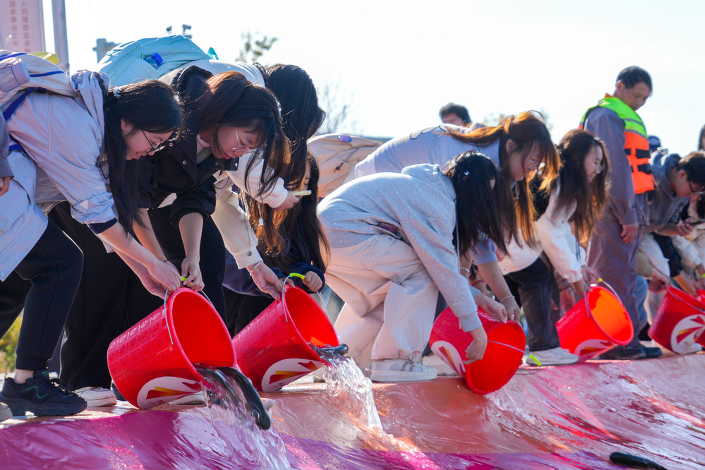 20241019校园开放日放鱼活动 朱宏淇摄 (516)