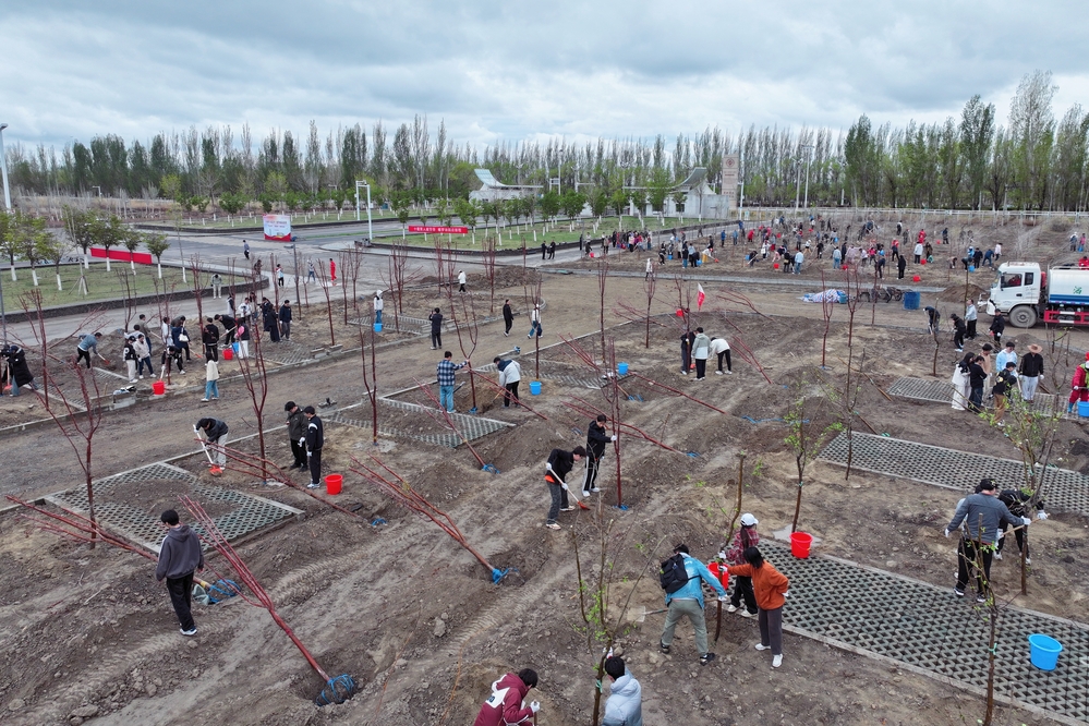 c7eebcfe80500178d3ddff0886a91bf