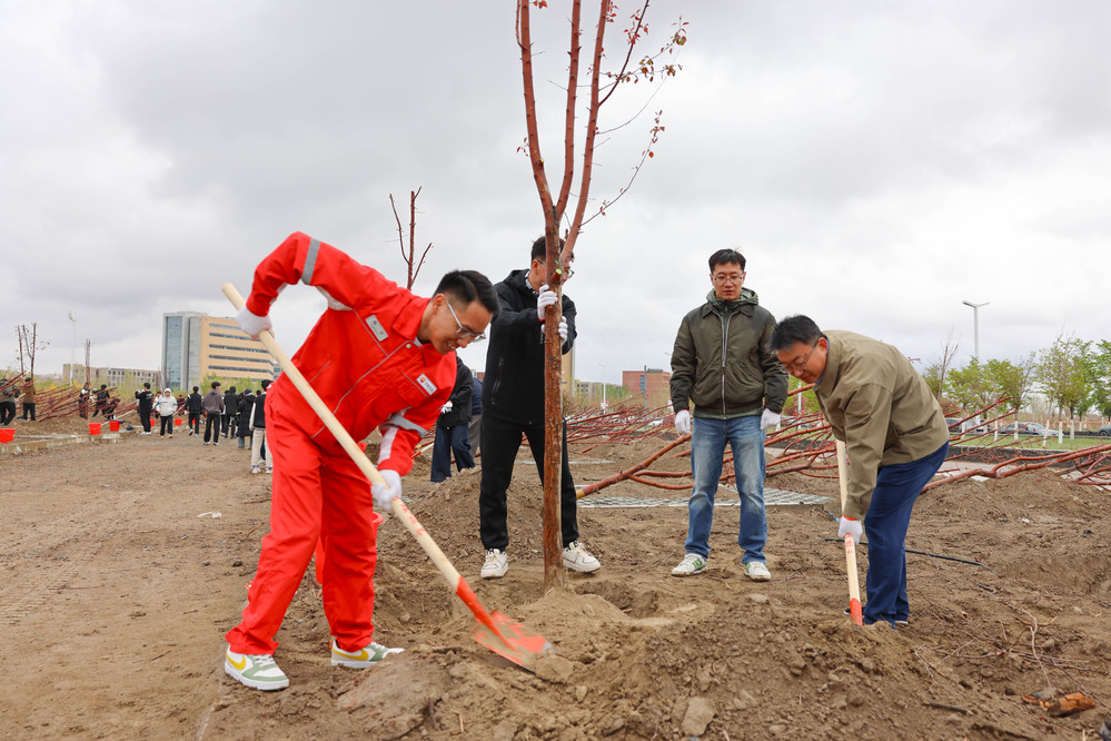 20250420校区校友林 援建林种植活动-徐蓉 (12)