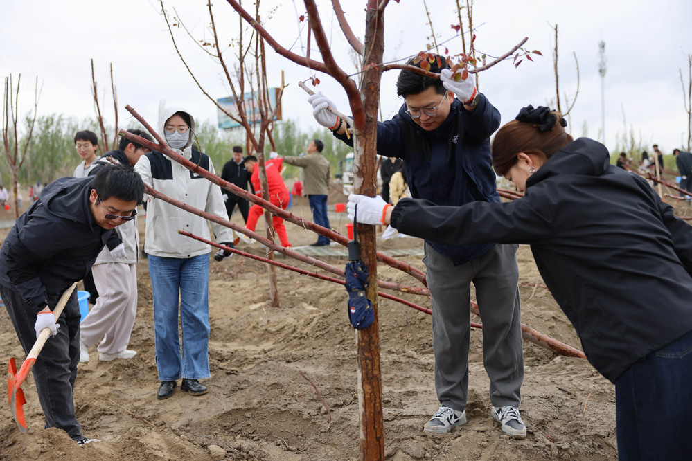 20250420校区校友林 援建林种植活动-徐蓉 (7)