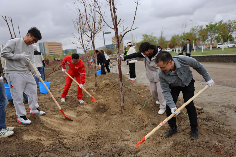 20250420校区校友林 援建林种植活动-徐蓉 (5)