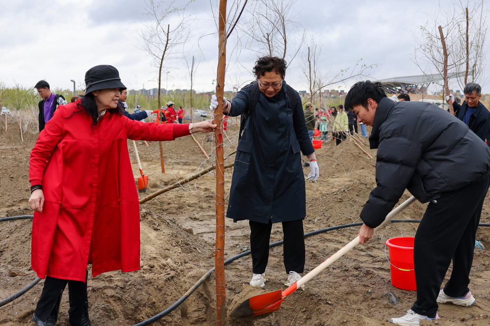 20250420校区校友林 援建林种植活动-崔晓雅 (21)