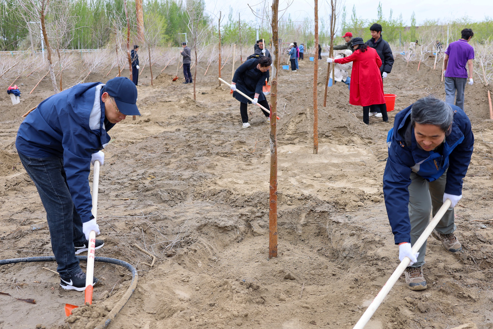 20250420校区校友林 援建林种植活动-崔晓雅 (30)