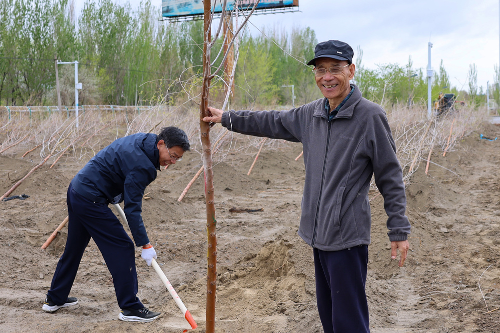 20250420校区校友林 援建林种植活动-崔晓雅 (22)