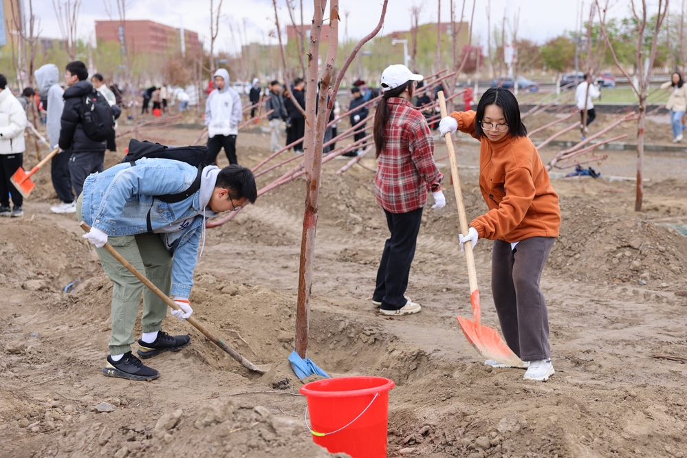 20250420校区校友林 援建林种植活动-李新雅 (20)