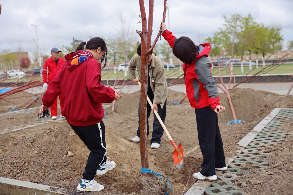 20250420校区校友林 援建林种植活动-李新雅 (5)