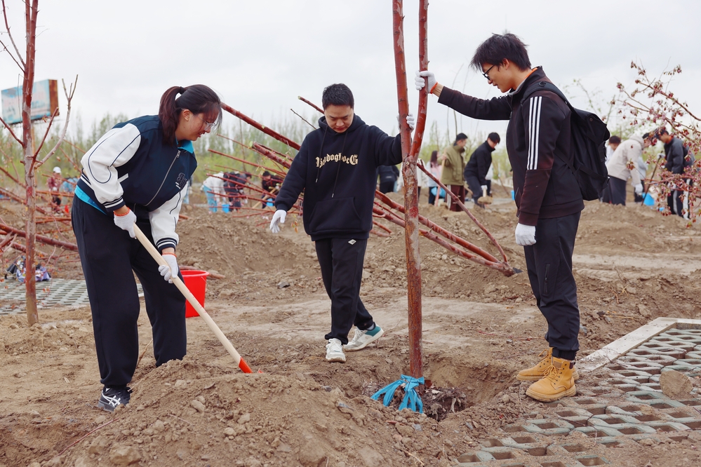20250420校区校友林 援建林种植活动-李新雅 (3)