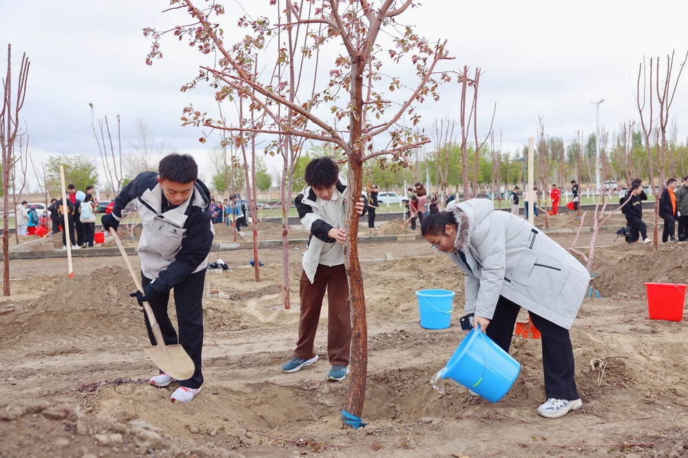 20250420校区校友林 援建林种植活动-李新雅 (19)