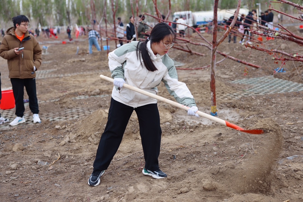 20250420校区校友林 援建林种植活动-李新雅 (25)