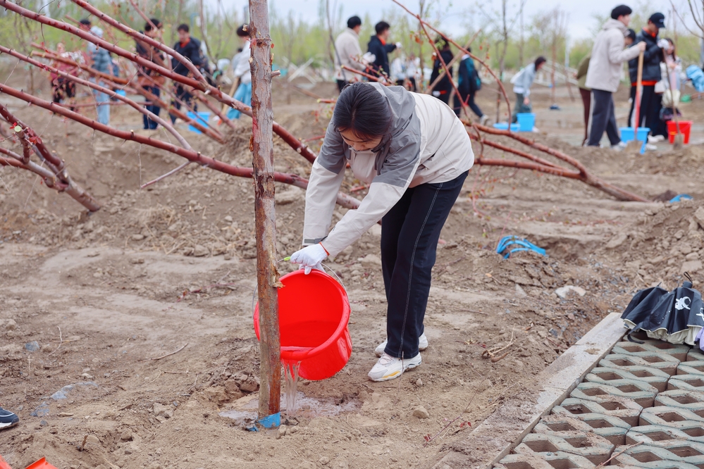 20250420校区校友林 援建林种植活动-李新雅 (23)