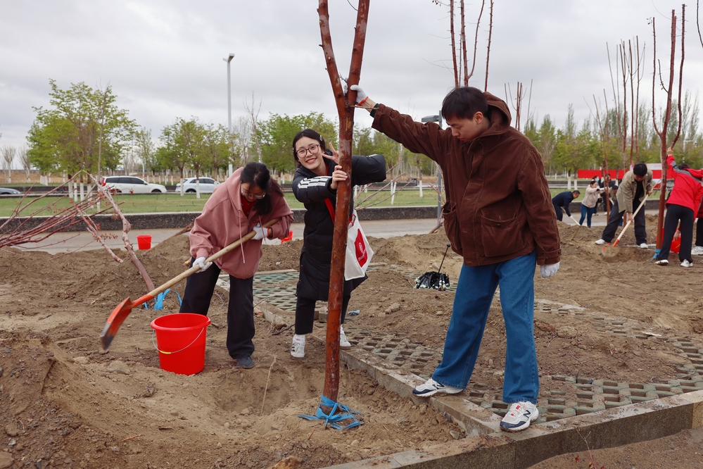 20250420校区校友林 援建林种植活动-李新雅 (22)