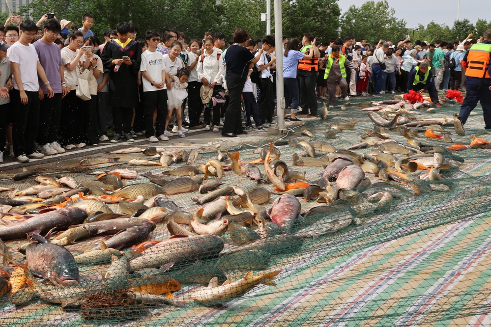 MEITU_20250602_180540150