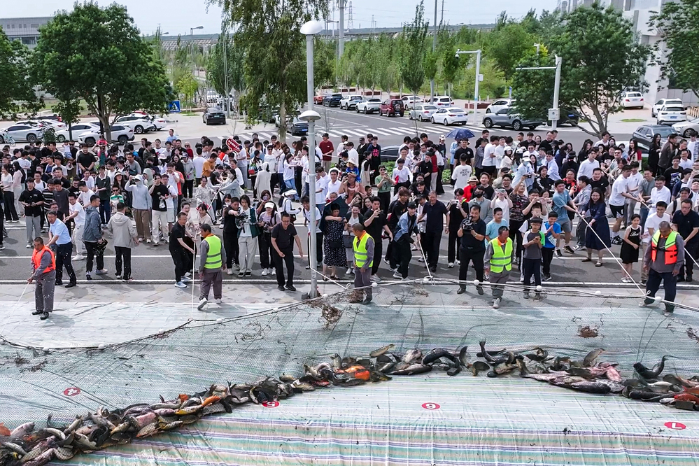 DJI_20250601013007_0027_D.MP4_20250602_180905.301