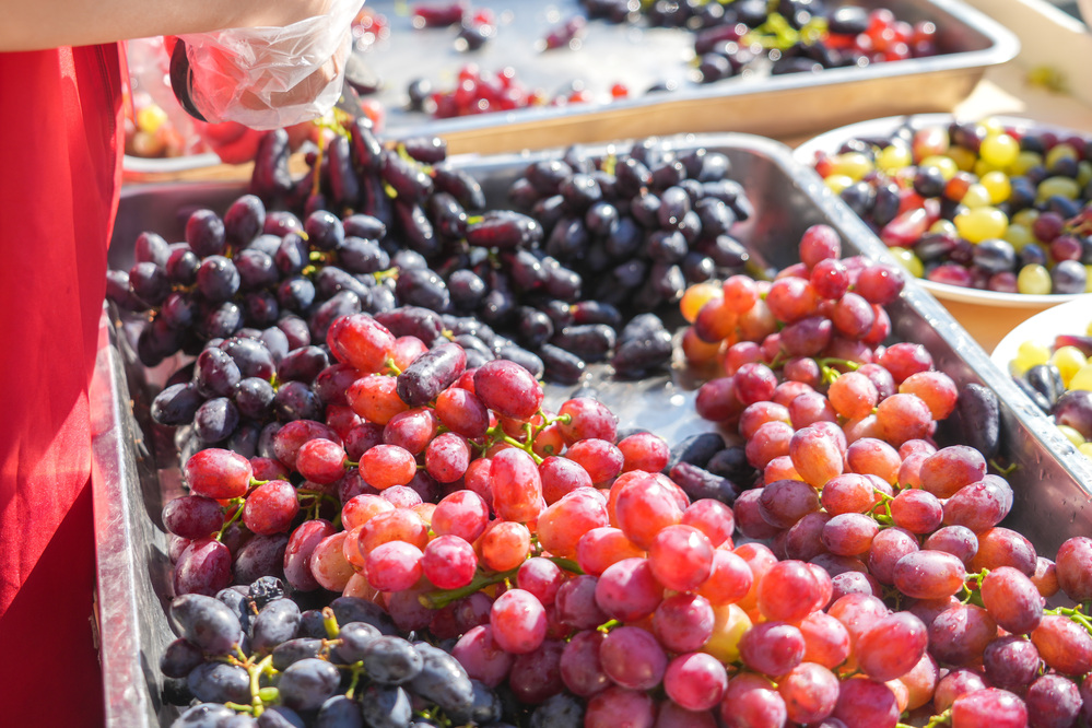 微信图片_2025-08-28_194125_238