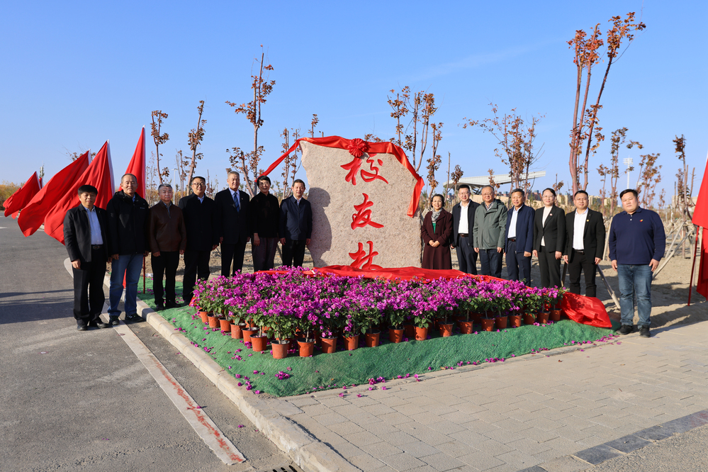 微信图片_2025-10-26_002848_172