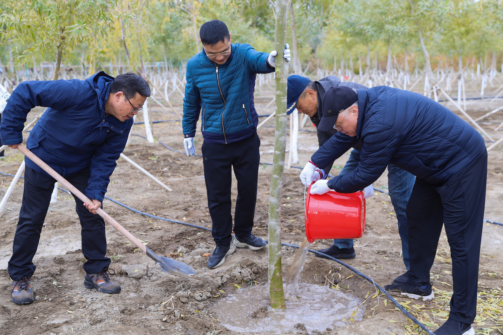 20261024校友植树活动（援建教师植树）-田霖瑞摄 (4)
