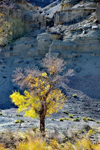 大峡谷2--张智老师