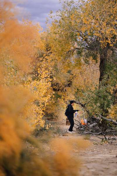 6a489d4b377be16d38f60e12372ecb21